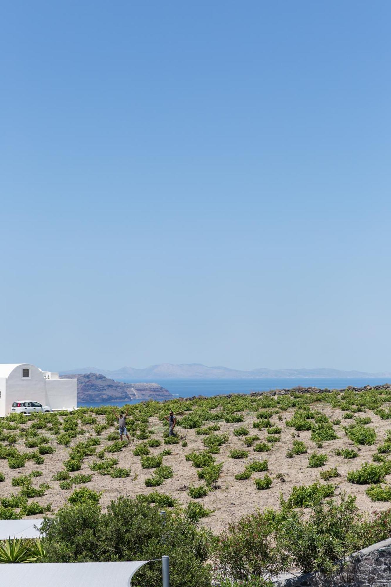 Soil Of Sun Luxury Villas Megalochori  Eksteriør billede